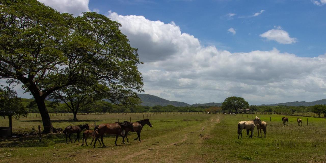Rancho Humo Estancia Puerto Humo  Εξωτερικό φωτογραφία