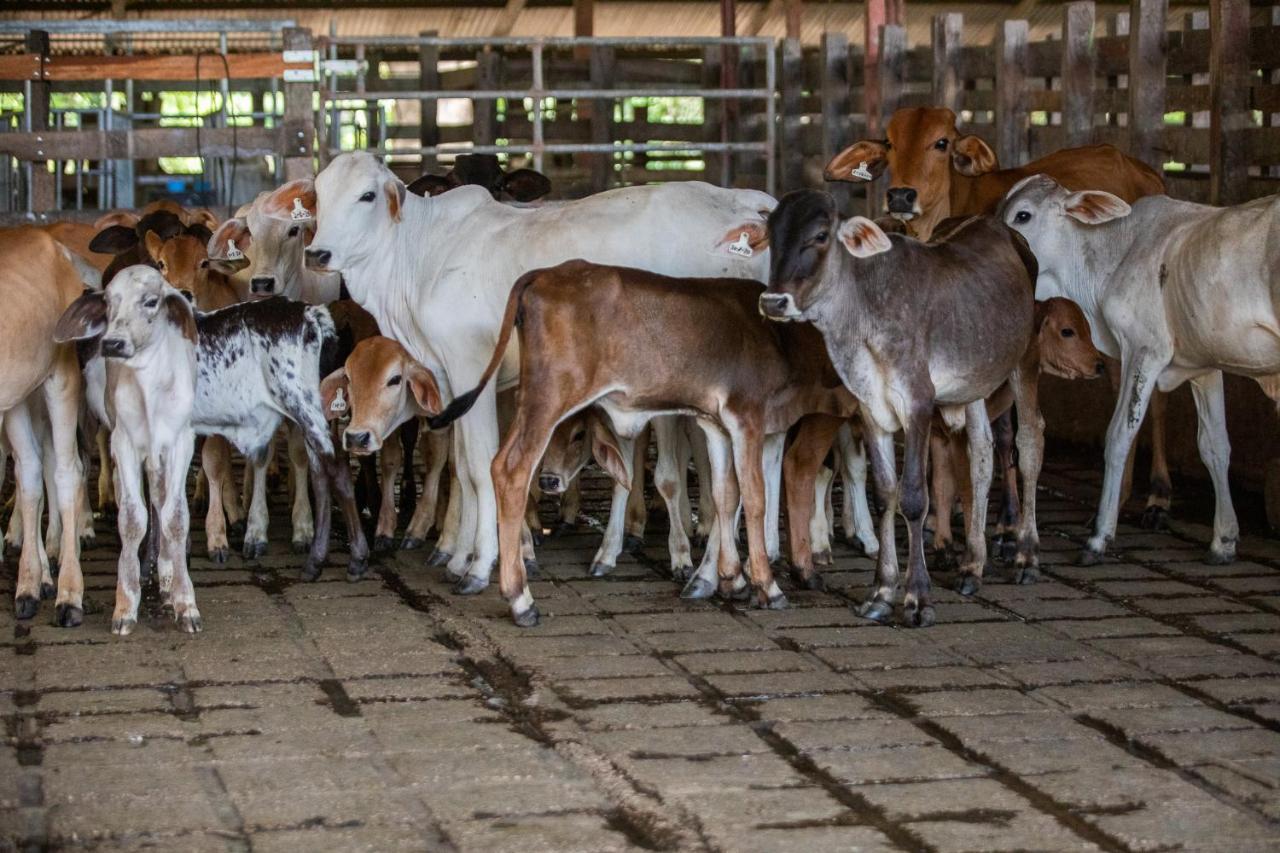 Rancho Humo Estancia Puerto Humo  Εξωτερικό φωτογραφία