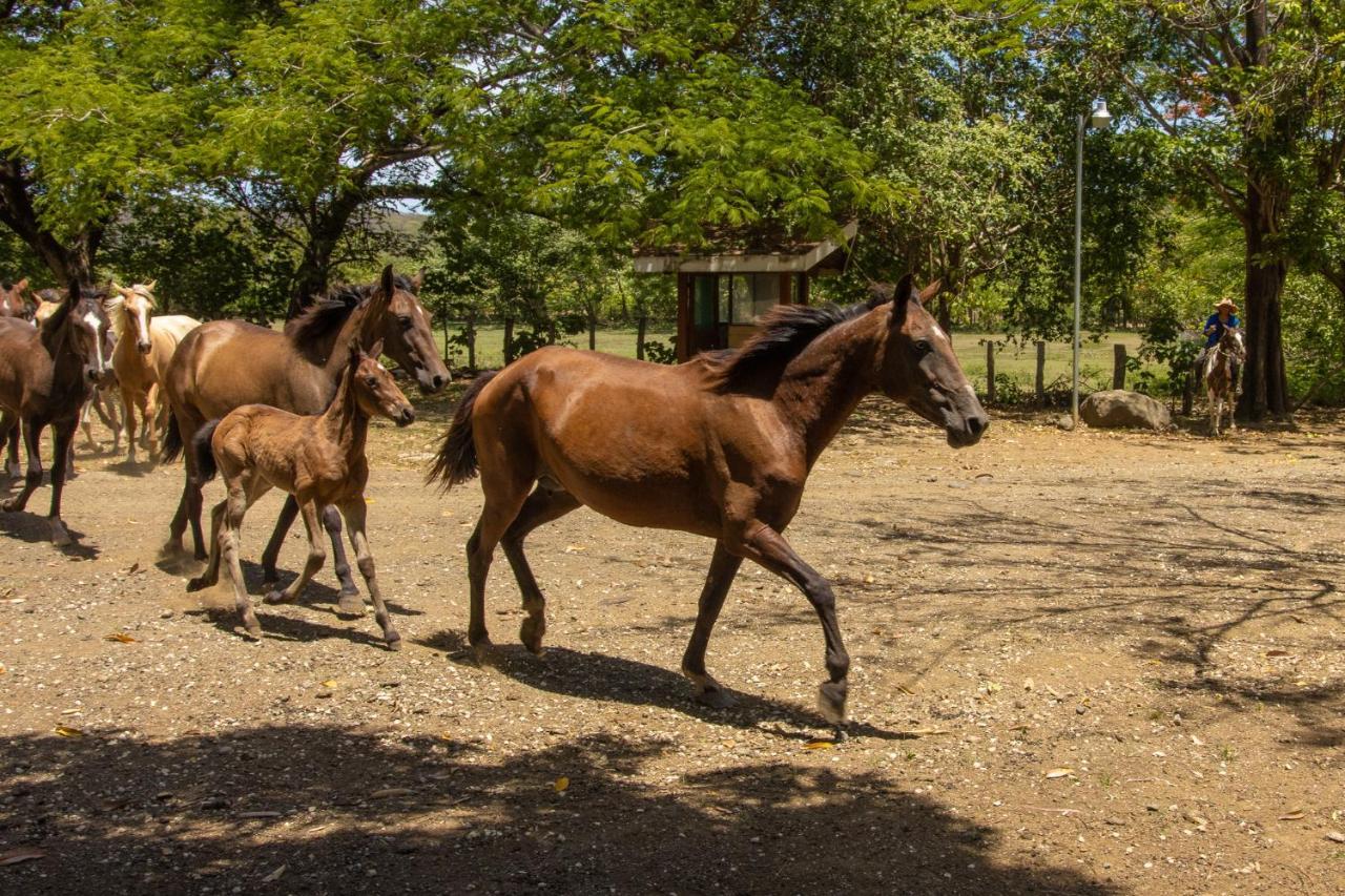Rancho Humo Estancia Puerto Humo  Εξωτερικό φωτογραφία